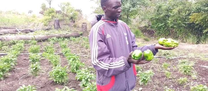 Graduate Turns to Farming to Tackle South Sudan’s Unemployment and Food Crisis Graduate Turns to Farming to Tackle South Sudan’s Unemployment and Food Crisis