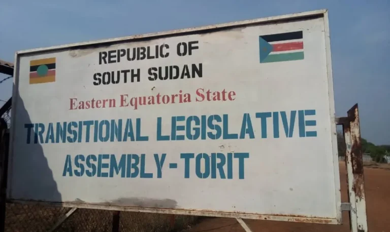 Eastern Equatoria Leaders Call for Urgent Action on Highway Robberies Along Torit–Juba Road
