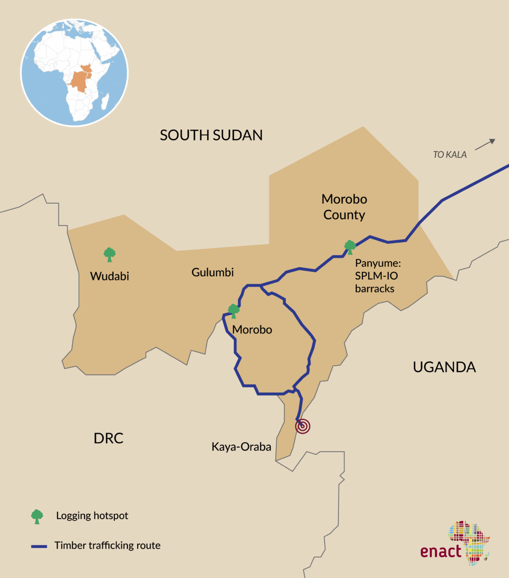 Teak Logging Ban Overwhelmed by Illicit Trade Networks