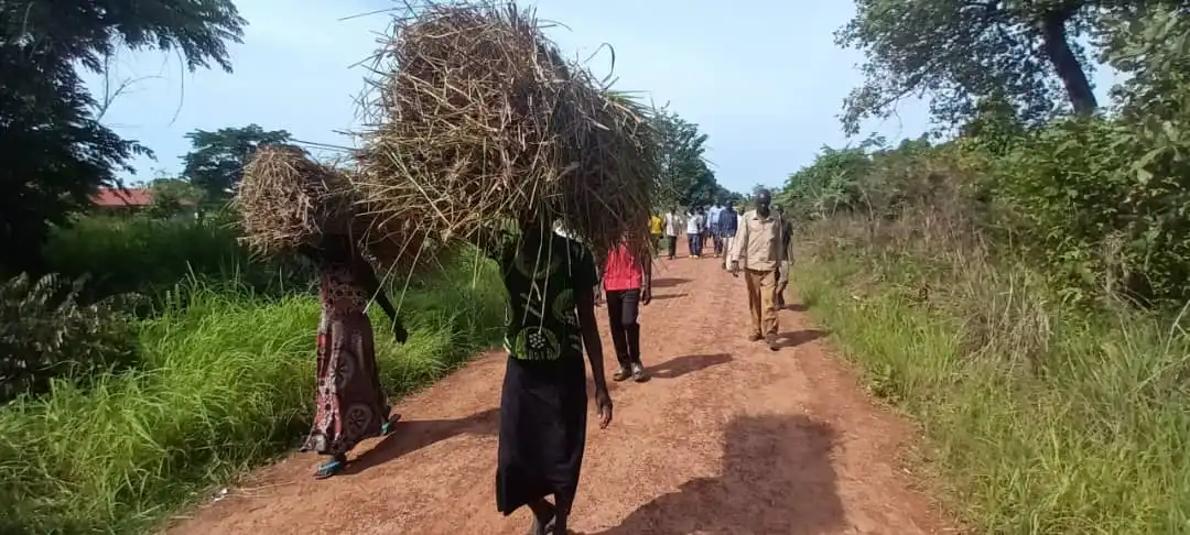 Over 1,000 Morobo Residents Flee to Lainya After Clashes