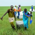 Millions in South Sudan at Risk as Food Aid Slashed Over Funding Crisis. Airdrops in Nyueny, Upper Nile State.