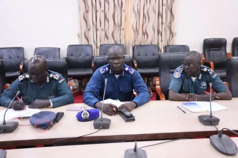 Over 600 Gang Members Arrested in Juba Crackdown After Rape of Teenage Girl
