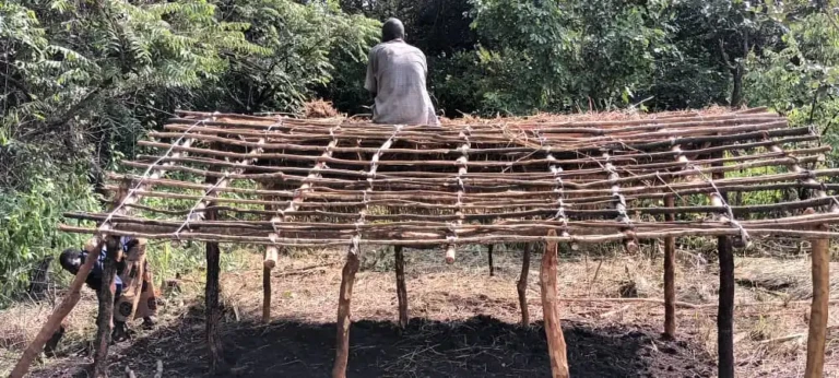 Yei County Faces New Displacement Crisis as Violence in Marju Displaces 1,300 to Pokula