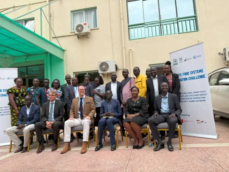 11 South Sudanese Startups Share $544,000 WFP Food Innovation Grants