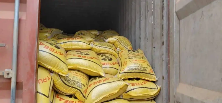 Beans With Insects Blocked from Entering South Sudan