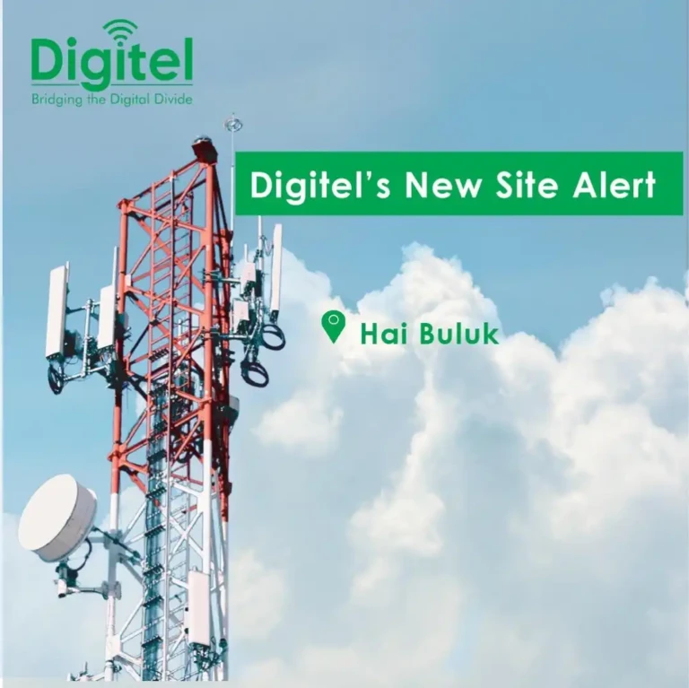 Digitel Battles Odds and Foreign Giants in South Sudan's Telecom Sector