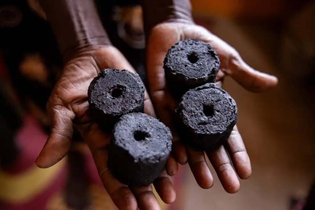 Rubkona Project Turns Invasive Weed into Cooking Fuel