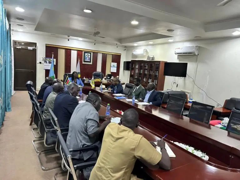 South Sudan Seeks UNDP Backing to Boost Trade and Industry