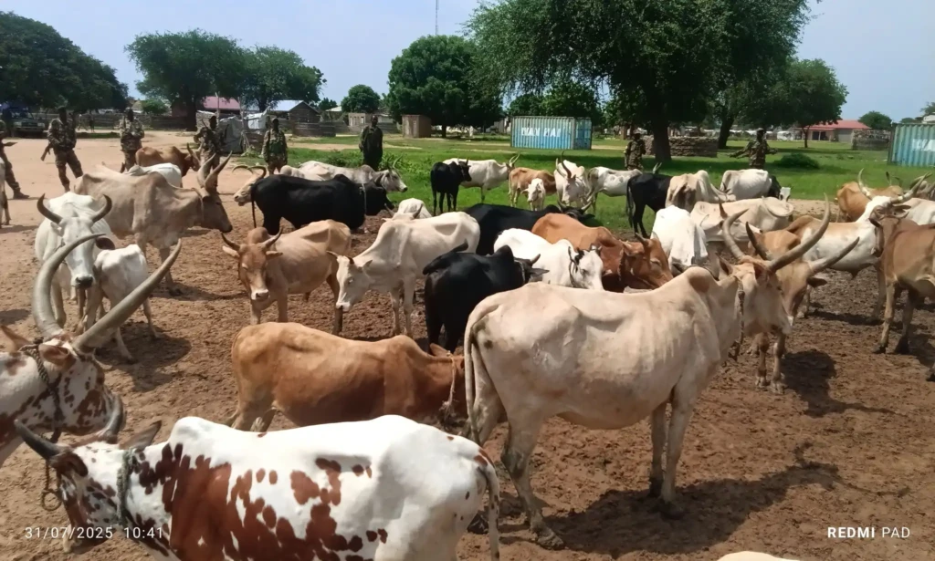Twic Authorities Hand Over Recovered Livestock to Sudanese Pastoralists