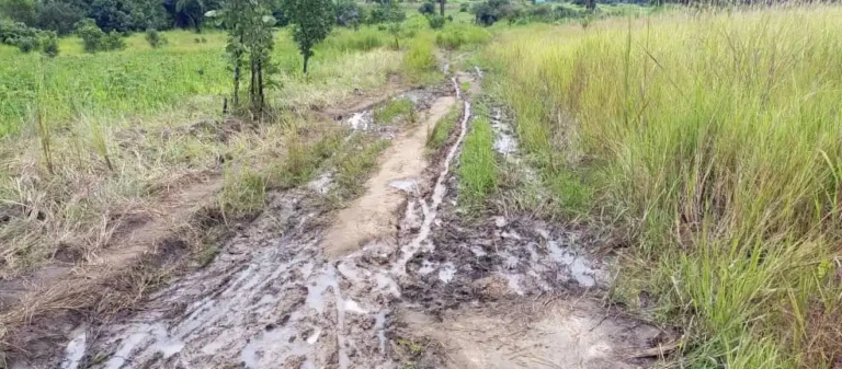 Villagers in Lasu Demand Security Guarantees on Yei-Libogo Road