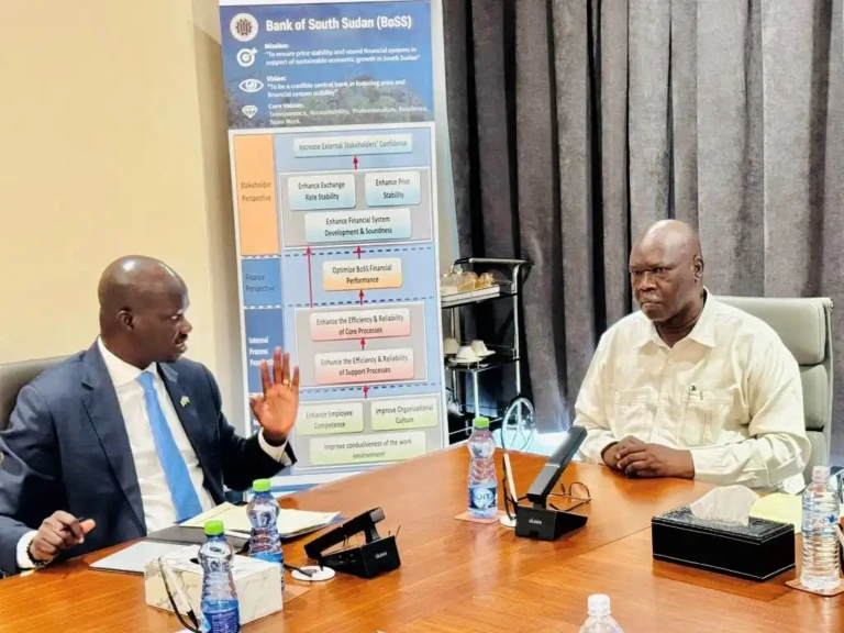 Every Shop Should Accept Digital Pay in South Sudan