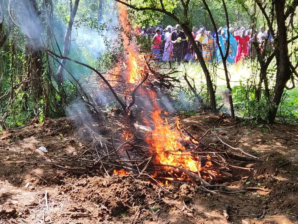 Terekeka County Investigates Ritual Killing of Bulls (PHOTOS)