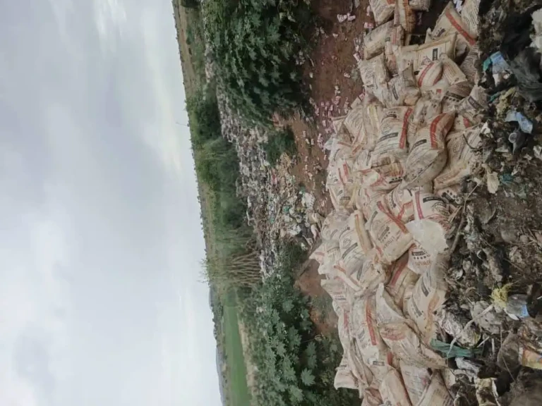 866 Bags of Substandard Rice Destroyed in Rajaf