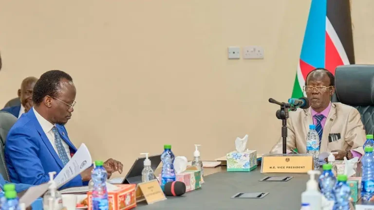 Economic Cluster Approves SSP 72 Billion to Support South Sudan Farming Season