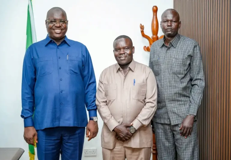 South Sudanese Diaspora Warned Against Negative Messages