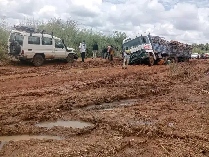 Greater Yei Residents Urge Action on Juba–Yei–Kaya Road Construction Project Greater Yei Residents Urge Action on Juba–Yei–Kaya Road Construction Project