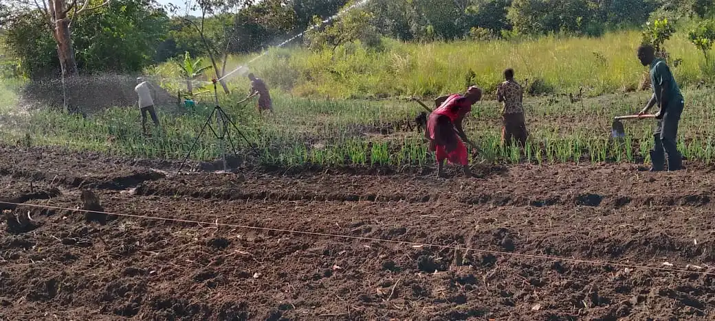 An Irrigation system set up in one of the farms in Yei. PHOTO CREDITS-Yei Agriculture Department