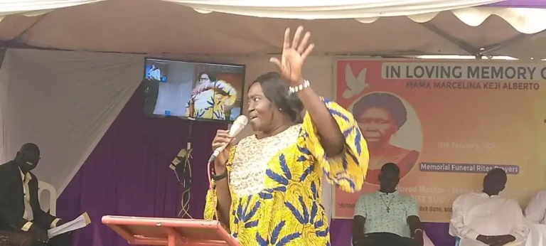 Central Equatoria Defends New Land Management Order