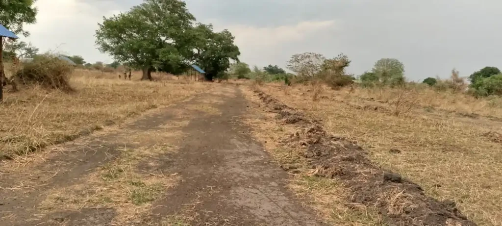Illegal Road Opening Leads to Arrests in Luri Payam in Juba County