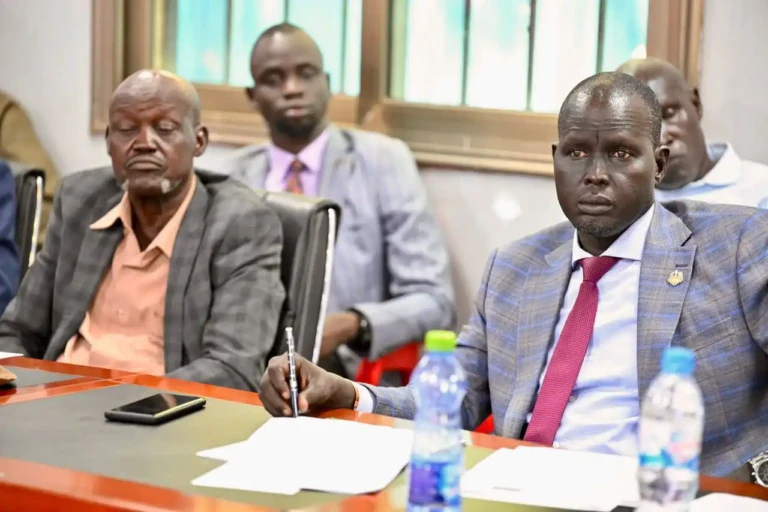 South Sudan Reviews Food Subsidies