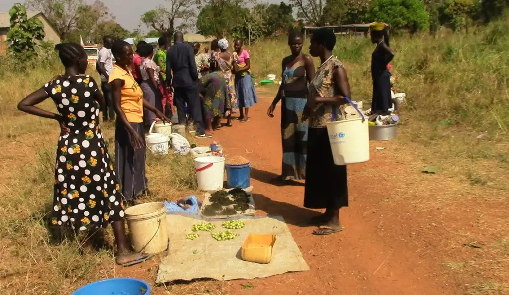 Women_sell vegetable products in Lutaya market-Yei town. PHOTO CREDITS-Access Radio