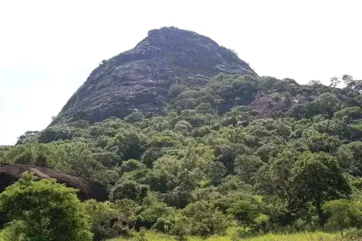 A view of a mountain in Lumaro village-Yei River County.