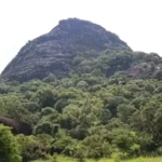 A forested view of a mountain in Lumaro village, Mugwo Payam ,Yei River County.