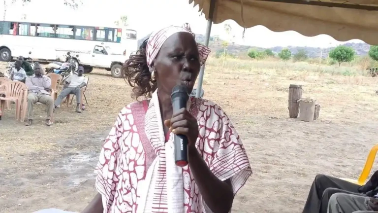 Water Shortage Tops Concerns in Mangalla Payam Community