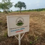 Morling Cooperative Demonstration Farm in Kajo-Keji County. File Photo (Access Radio)