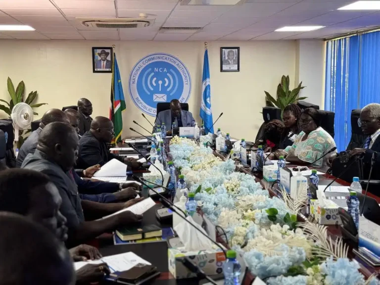 South Sudan advances digital services plan