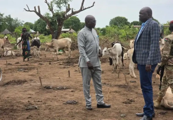 Government Team Sent to Return Looted Cattle in Terekeka Couty, Central Equatoria State