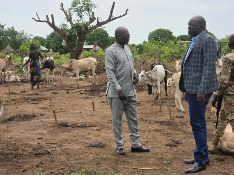 Government Team Sent to Return Looted Cattle in Terekeka Couty, Central Equatoria State