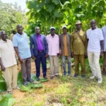Kajo-Keji Community Leaders at the project site. Photo Credit: Kenyi Joseph
