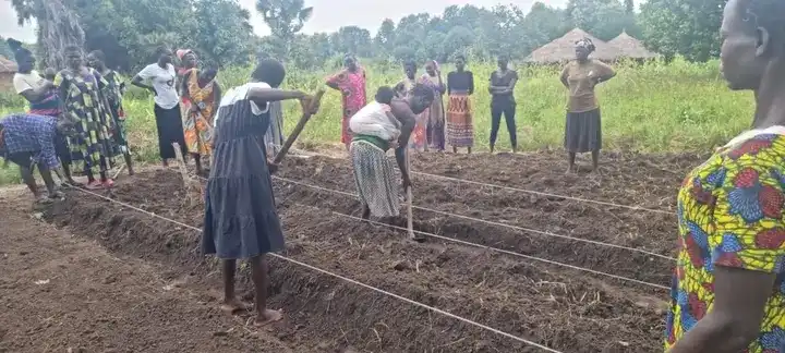 Ronyi Farmers supported by Koneta Hub. Photo Credit: Hand out KONETA Hub