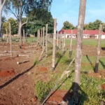 Structure of the green House at the County headquarters compound. Photo Credit: Hand out