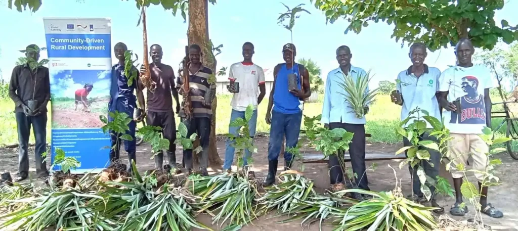 Donors Back Yei Farmers With Pineapple and Coffee Seedlings