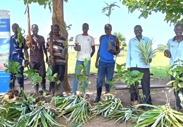 Donors Back Yei Farmers With Pineapple and Coffee Seedlings