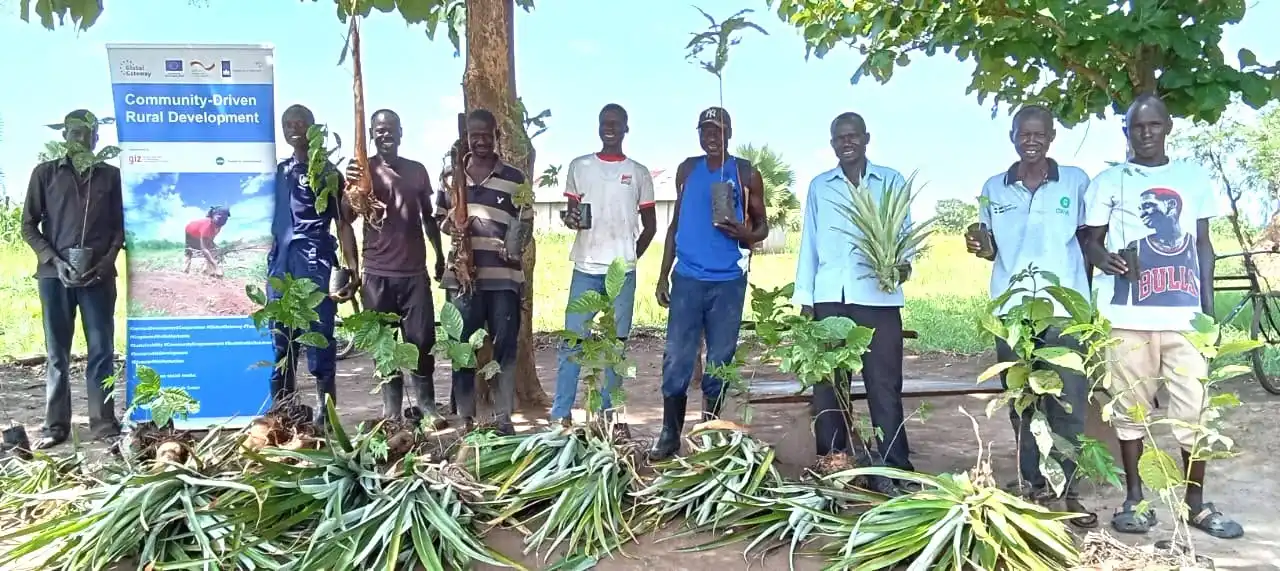 Donors Back Yei Farmers With Pineapple and Coffee Seedlings
