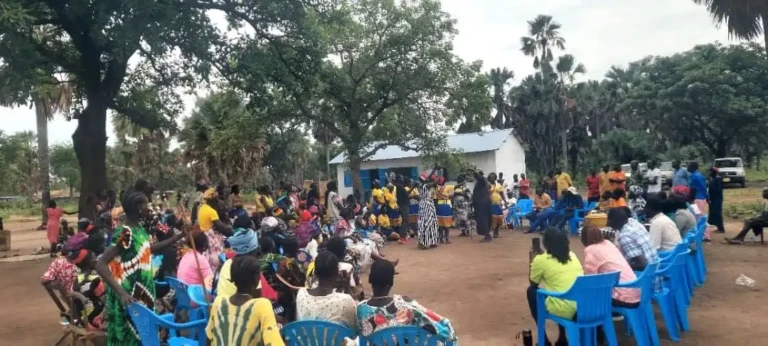 Lakes State Peace Programme Wins Donor Praise