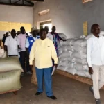 South Sudan Farm Cooperatives Harvest Over 329,000 Kg Despite Harsh Weather