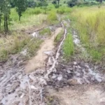 A feeder Road in Lasu Payam-File Photo-Access Radio