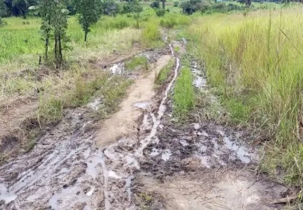 A feeder Road in Lasu Payam-File Photo-Access Radio