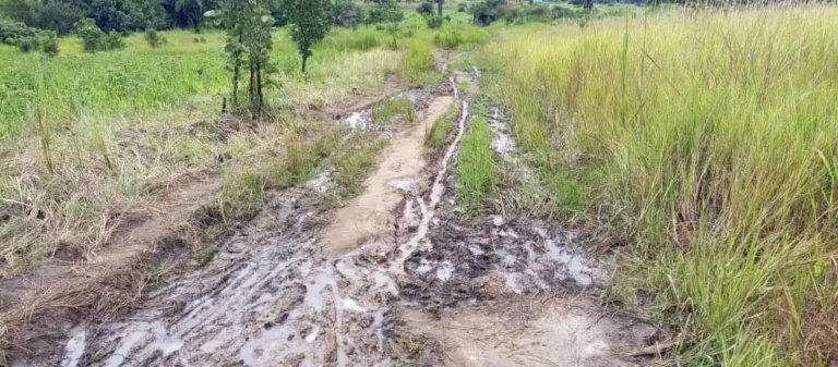 A feeder Road in Lasu Payam-File Photo-Access Radio