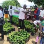 OFAO distributes Tree Seedlings to Farmers in Yei. Photo Credit-OFAO