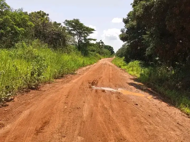 Section of a road in Yei River County