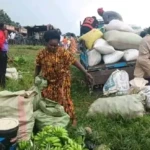 Traders and farm products in Mugwo Payam