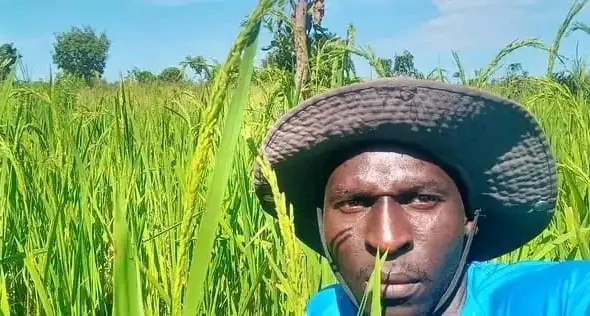 Farmer Peter Jamba in his Rice Farm. Photo Credit-Peter Jamba