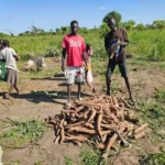 Farmers in Yei River County-File Photo-Access Radio