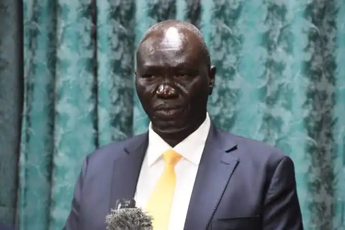 Minister of Energy and Dams Agok Makur Kur Courteesy photo