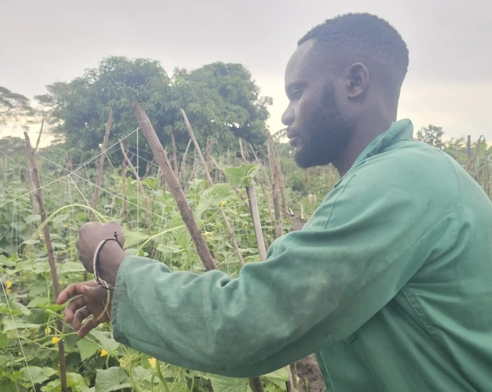 Amos at his garden in Juba. Photo Credi-The Borderline-News Channel